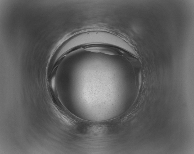 X0000052640248200507011354