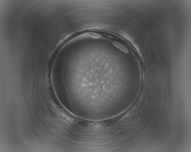 X0000052640249200507011354