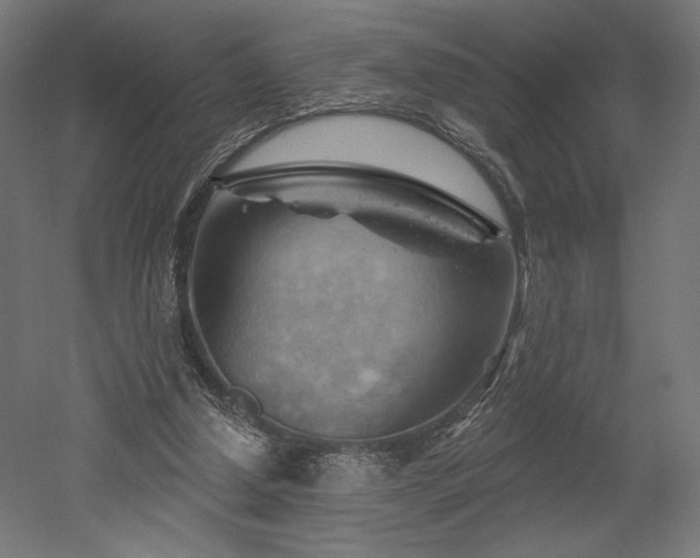 X0000052640250200507011354