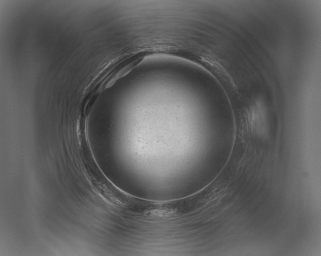 X0000052640251200507011354