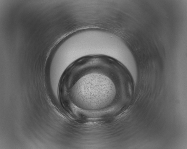 X0000052640252200507011354