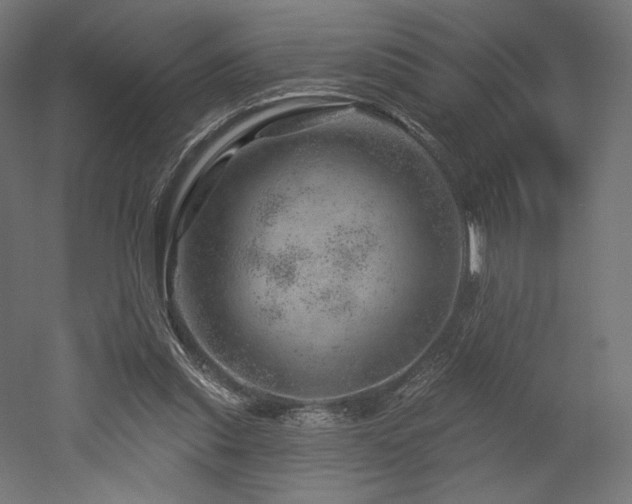 X0000052640253200507011354