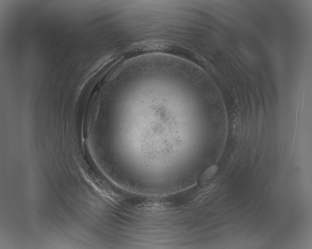 X0000052640254200507011354