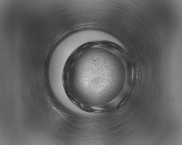 X0000052640255200507011354