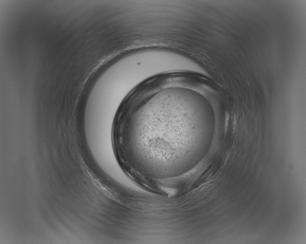 X0000052640256200507011354