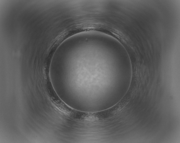 X0000052640258200507011354