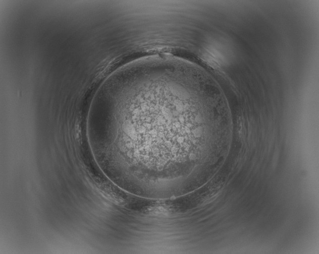 X0000052640259200507011354