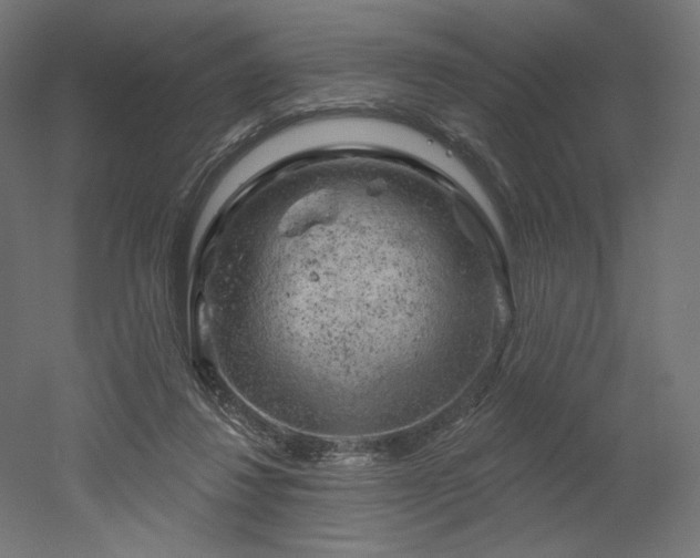 X0000052640260200507011354