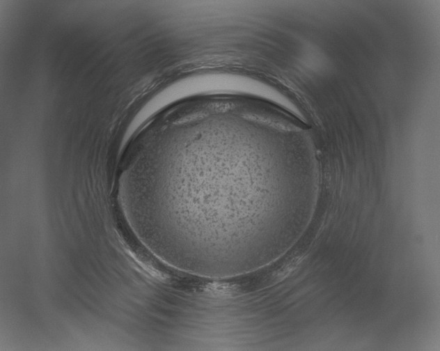 X0000052640261200507011354