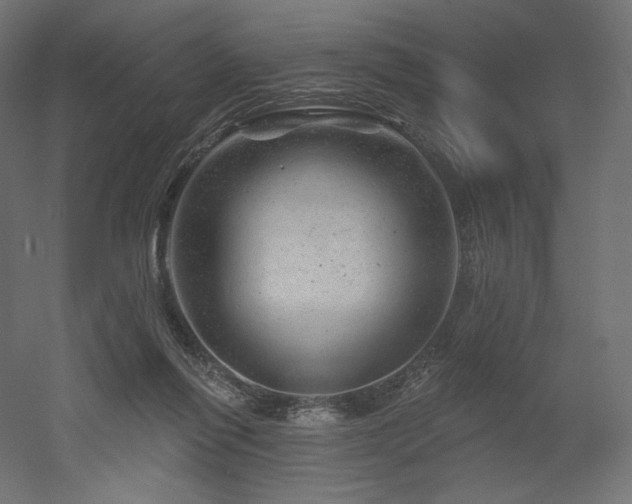 X0000052640262200507011354