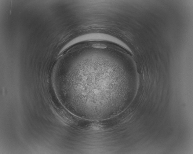 X0000052640263200507011354