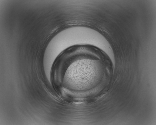 X0000052640264200507011354