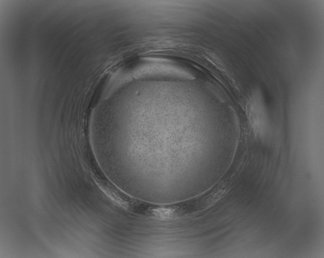 X0000052640265200507011354