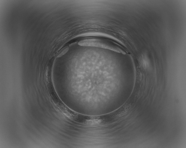 X0000052640266200507011354