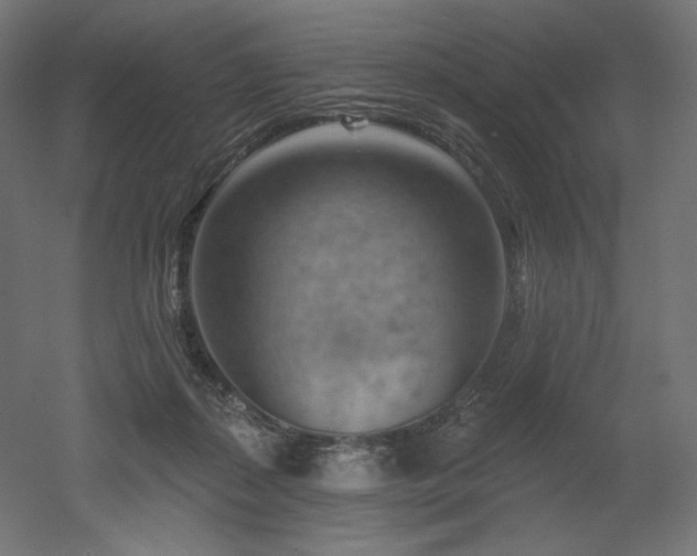 X0000052640267200507011354