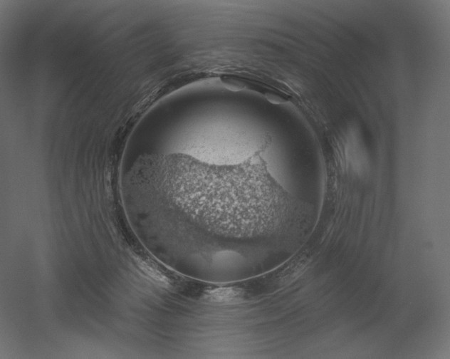 X0000052640269200507011354