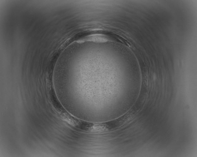 X0000052640270200507011354