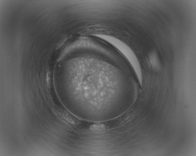 X0000052640271200507011354