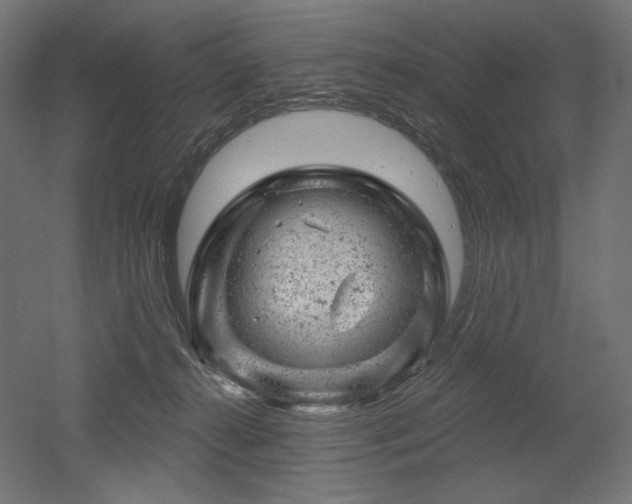 X0000052640272200507011354