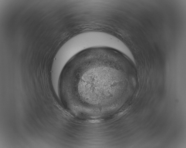 X0000052640273200507011354