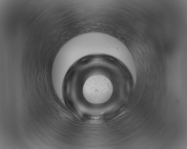 X0000052640274200507011354