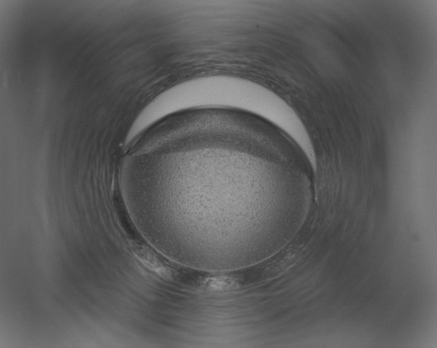 X0000052640275200507011354