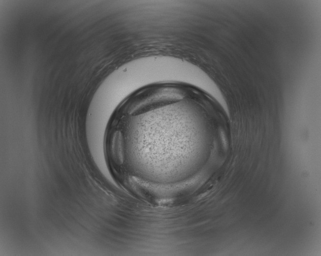 X0000052640276200507011354