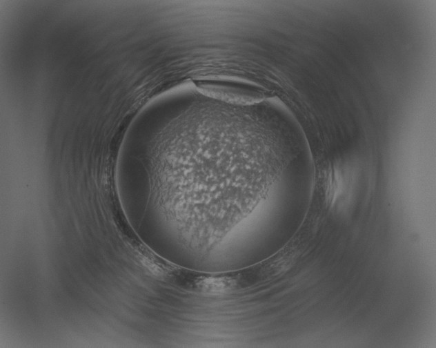 X0000052640277200507011354