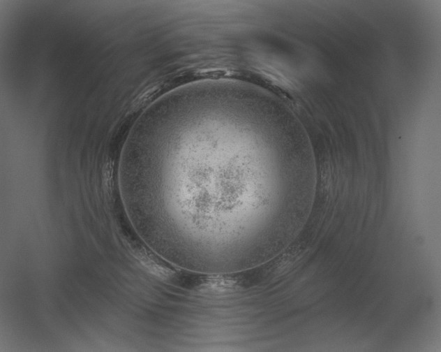 X0000052640278200507011354