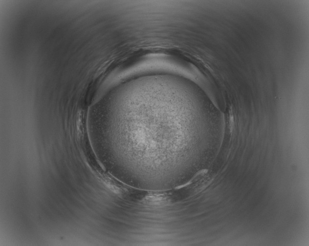 X0000052640280200507011354