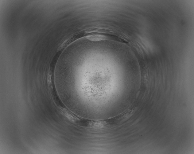 X0000052640282200507011354