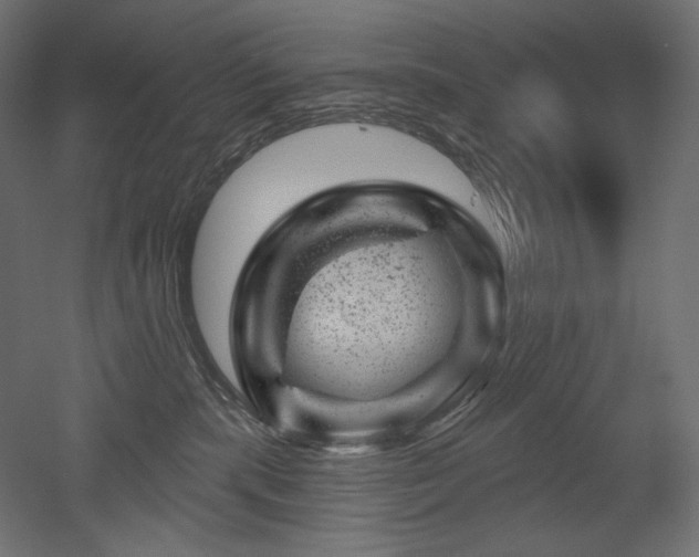 X0000052640283200507011354