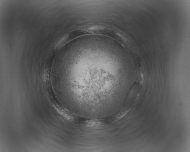 X0000052640284200507011354