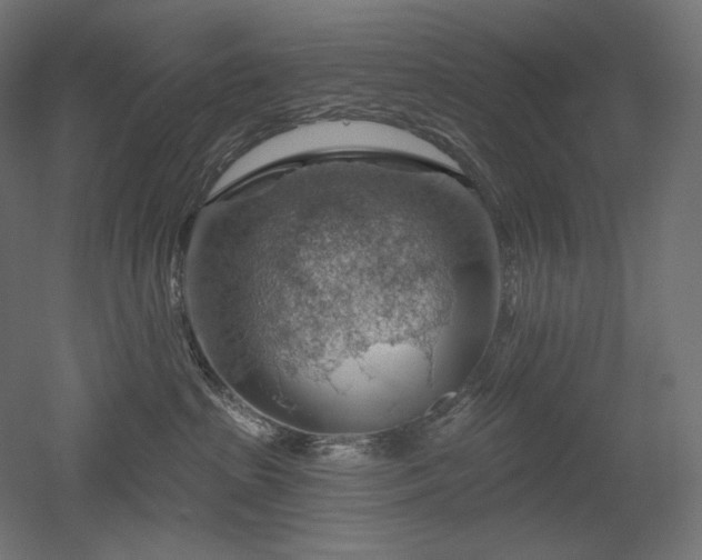 X0000052640285200507011354