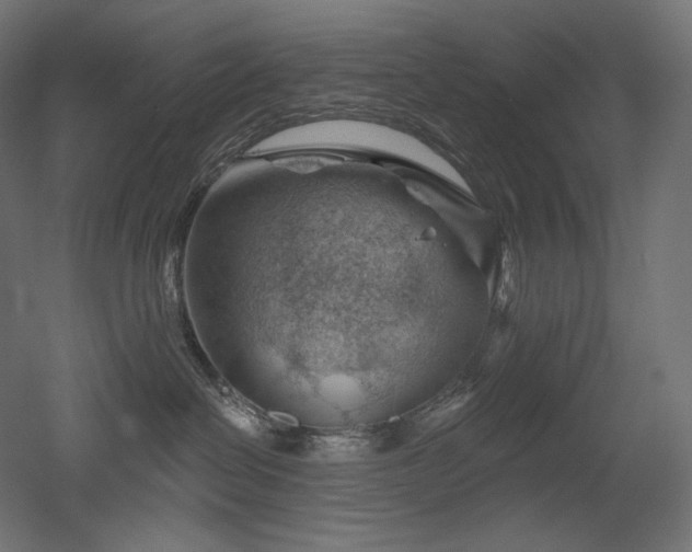 X0000052640286200507011354