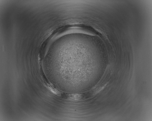 X0000052640288200507011354