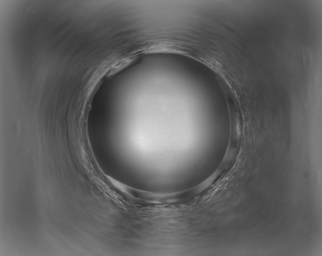 X0000052640289200507011353