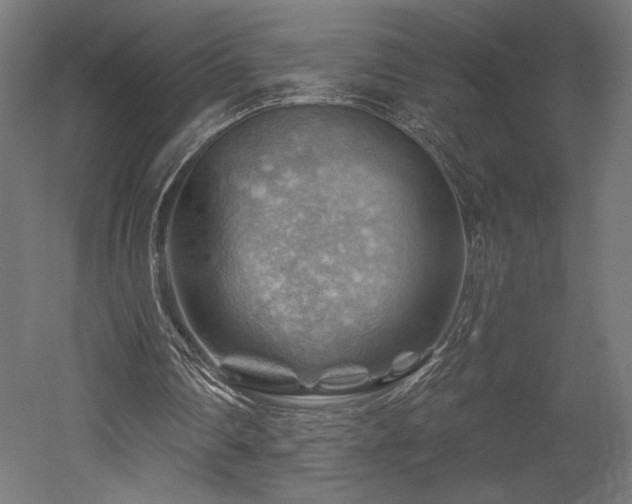 X0000052640290200507011353