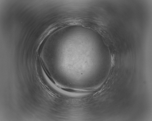 X0000052640291200507011353