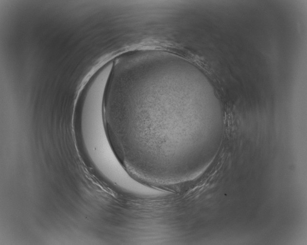 X0000052640292200507011353