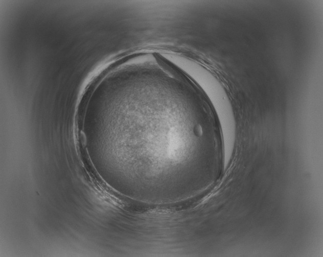 X0000052640294200507011353