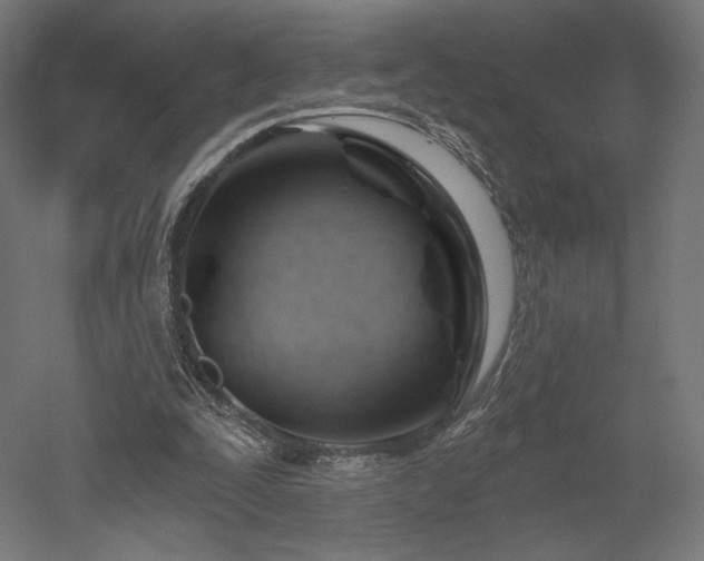 X0000052640295200507011353