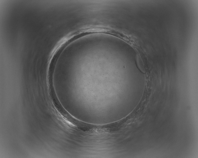 X0000052640296200507011353