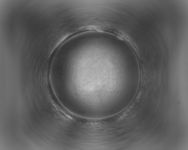 X0000052640297200507011353