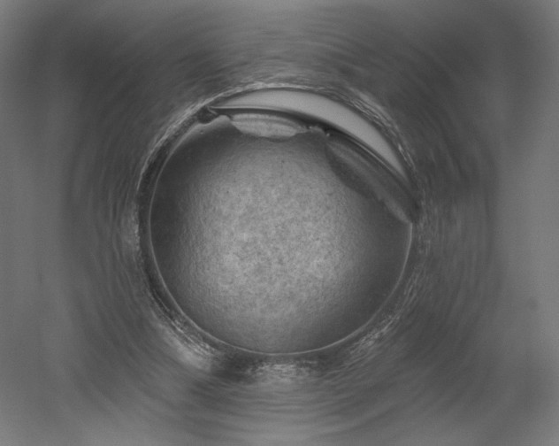 X0000052640298200507011353