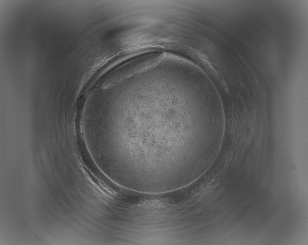 X0000052640299200507011353