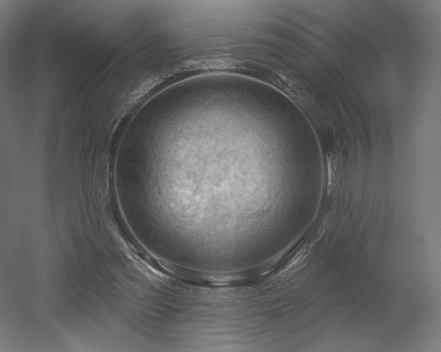 X0000052640301200507011353