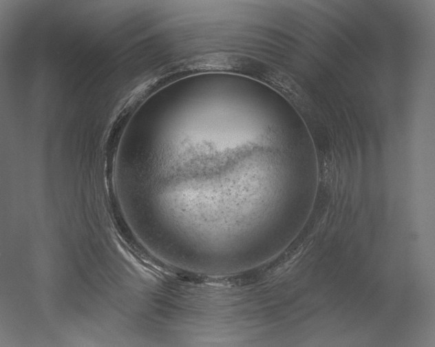 X0000052640302200507011353