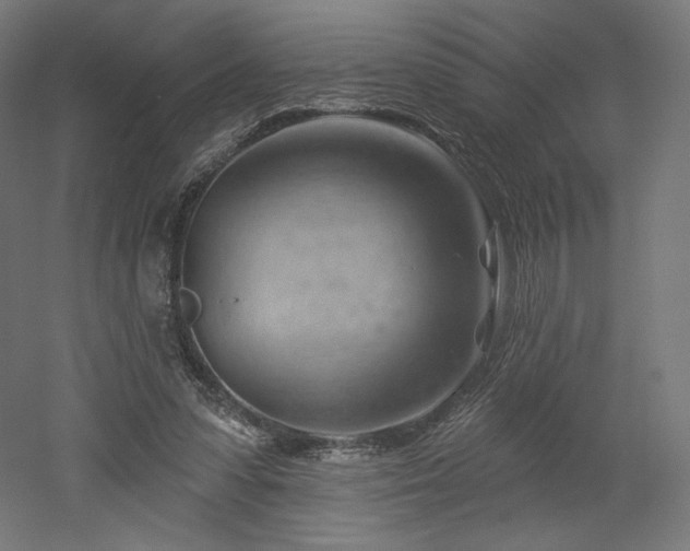 X0000052640303200507011353