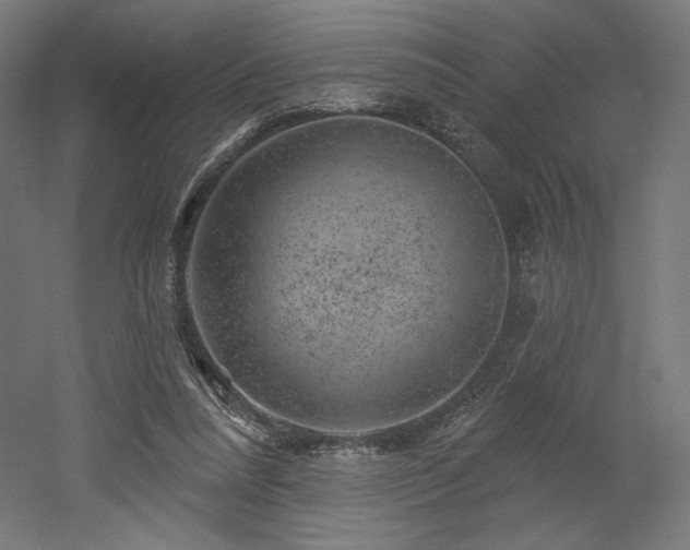 X0000052640304200507011353